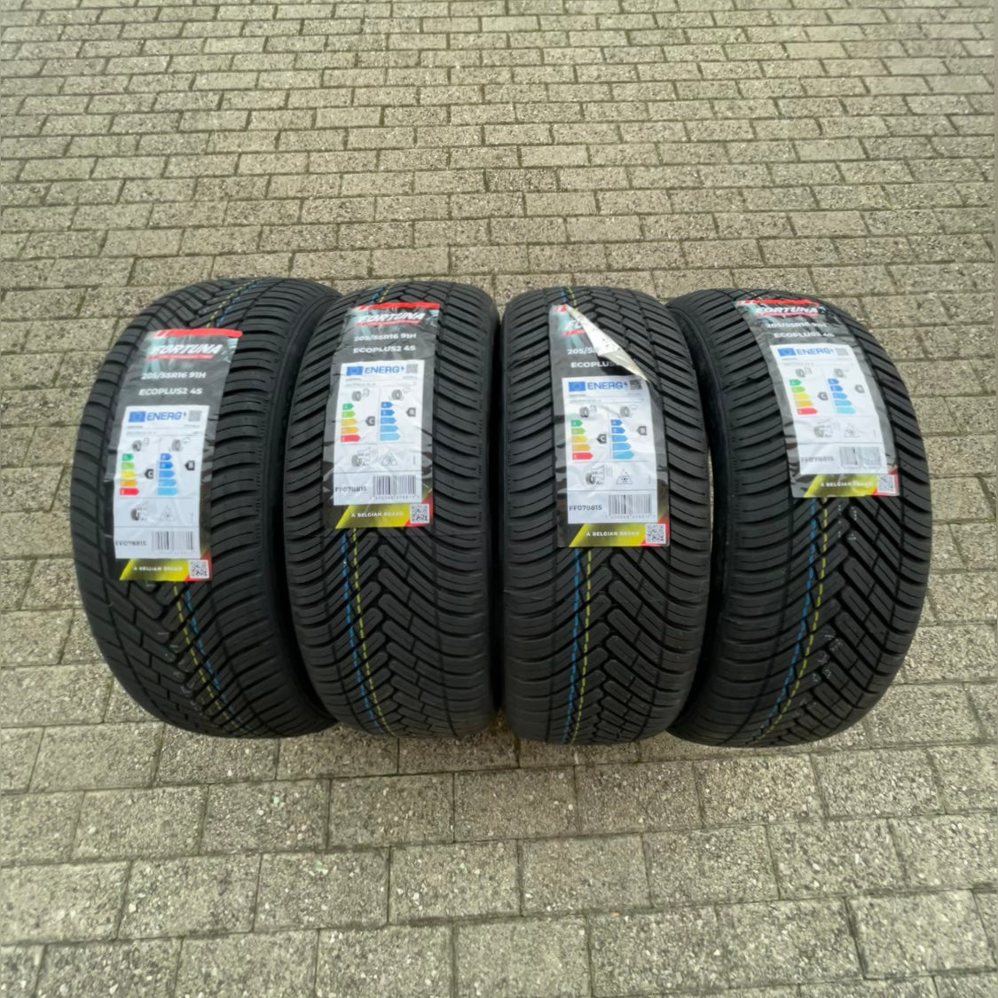 Set 4 Fortuna Ecoplus2 4S 205/55R16 - vista laterale set completo